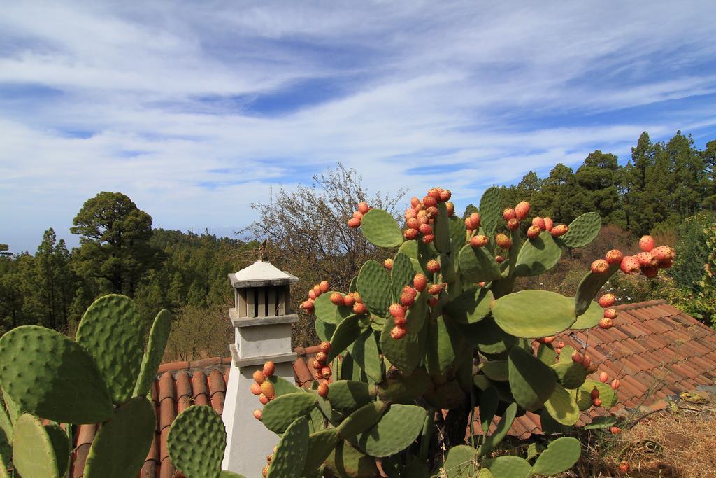 Casa Rural El Riachuelo Garafía 外观 照片